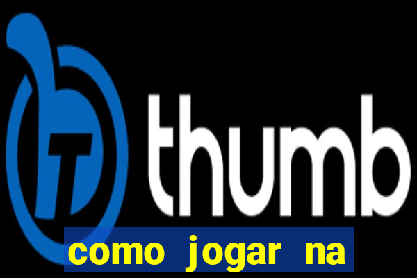 como jogar na lotinha do jogo do bicho